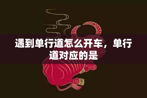 遇到单行道怎么开车，单行道对应的是