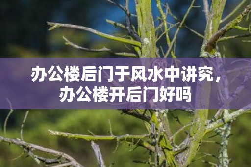 办公楼后门于风水中讲究，办公楼开后门好吗