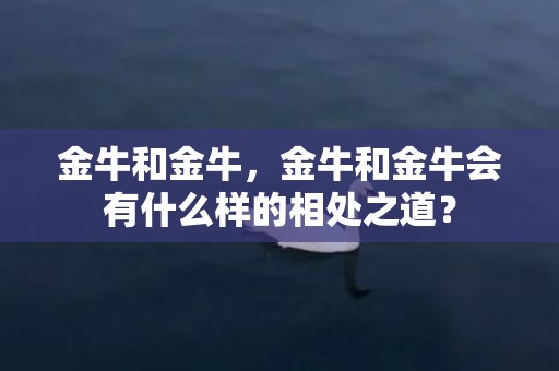 金牛和金牛，金牛和金牛会有什么样的相处之道？