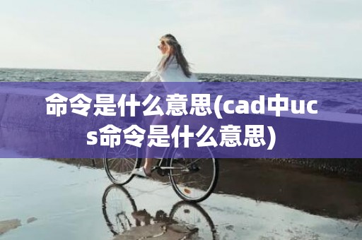 命令是什么意思(cad中ucs命令是什么意思)